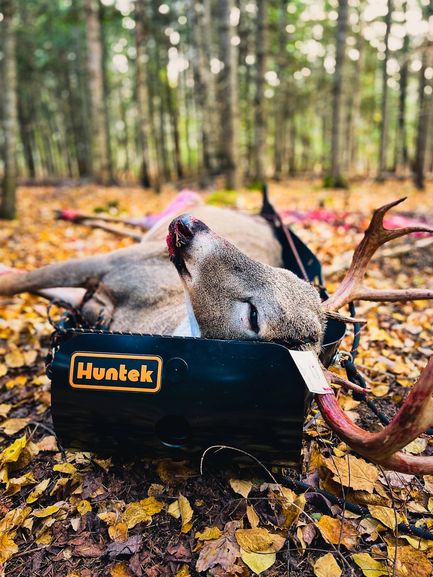 GameSled™ by Huntek — Main Product